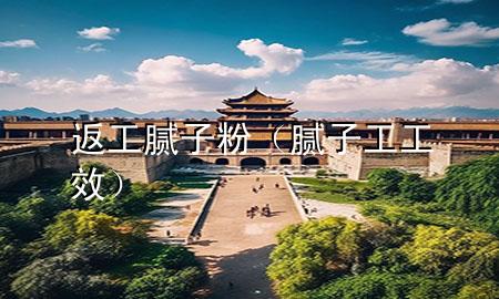 返工腻子粉（腻子工工效）