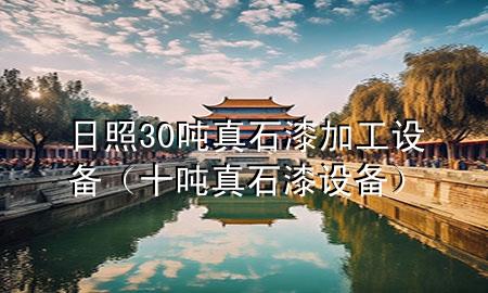 日照30吨真石漆加工设备（十吨真石漆设备）