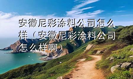 安徽尼彩涂料公司怎么样（安徽尼彩涂料公司怎么样啊）