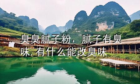 臭臭腻子粉，腻子有臭味,有什么能改臭味