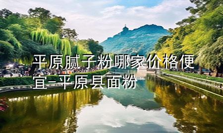 平原腻子粉哪家价格便宜-平原县面粉