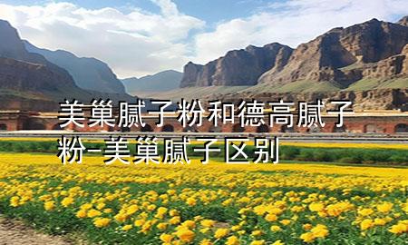 美巢腻子粉和德高腻子粉-美巢腻子区别