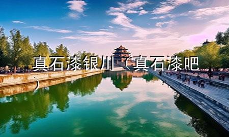 真石漆银川（真石漆吧）