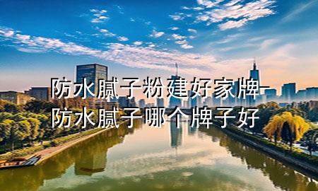 防水腻子粉建好家牌-防水腻子哪个牌子好