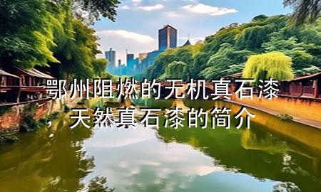 鄂州阻燃的无机真石漆，天然真石漆的简介