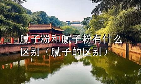 腻子粉和腻子粉有什么区别（腻子的区别）