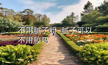 不用腻子粉-腻子可以不用胶吗