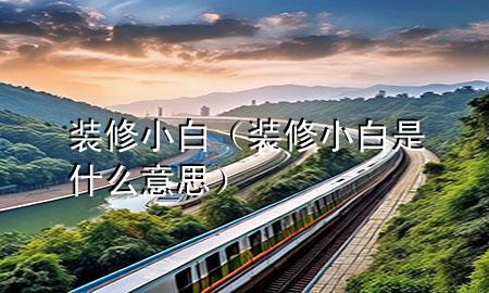 装修小白（装修小白是什么意思）