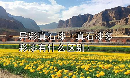 异彩真石漆（真石漆多彩漆有什么区别）