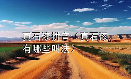 真石漆拼音（真石漆,有哪些叫法）