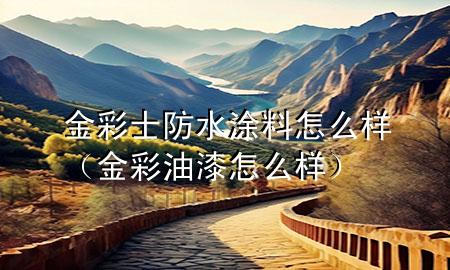金彩士防水涂料怎么样（金彩油漆怎么样）
