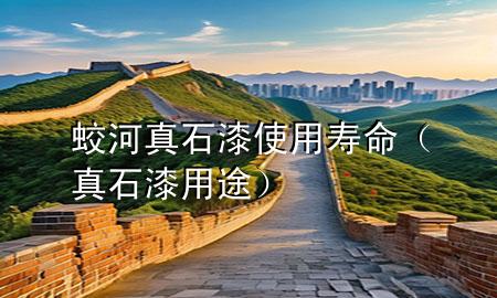 蛟河真石漆使用寿命（真石漆用途）