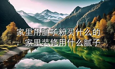 家里用腻子粉买什么的，家里装修用什么腻子