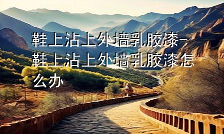 鞋上沾上外墙乳胶漆-鞋上沾上外墙乳胶漆怎么办
