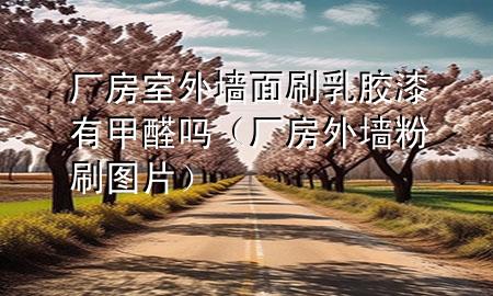 厂房室外墙面刷乳胶漆有甲醛吗（厂房外墙粉刷图片）