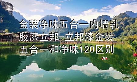 金装净味五合一内墙乳胶漆立邦-立邦漆金装五合一和净味120区别