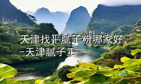 天津找平腻子粉哪家好-天津腻子工