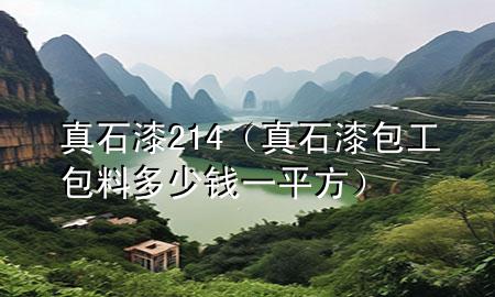 真石漆214（真石漆包工包料多少钱一平方）