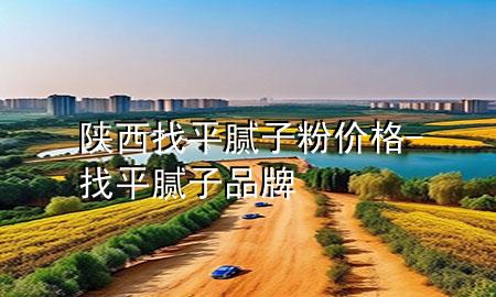 陕西找平腻子粉价格-找平腻子品牌