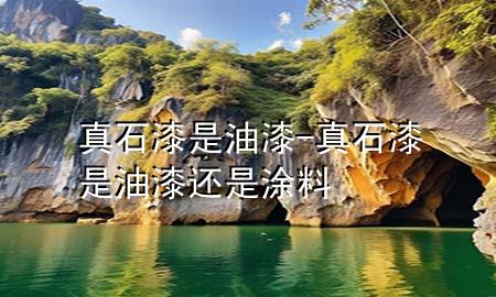 真石漆是油漆-真石漆是油漆还是涂料
