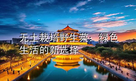 无土栽培野生菜：绿色生活的新选择