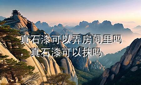 真石漆可以弄房间里吗，真石漆可以抹吗