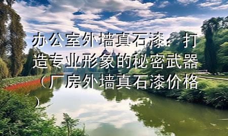 办公室外墙真石漆：打造专业形象的秘密武器（厂房外墙真石漆价格）