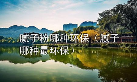腻子粉哪种环保（腻子哪种最环保）