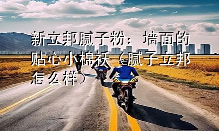 新立邦腻子粉：墙面的贴心小棉袄（腻子立邦怎么样）