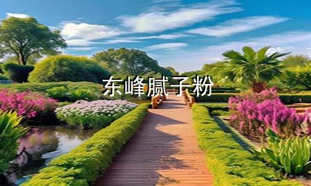 东峰腻子粉