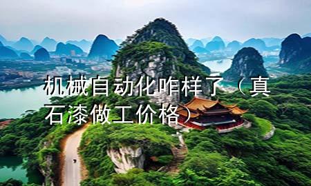 机械自动化咋样了（真石漆做工价格）