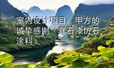 室内设计项目：甲方的诚挚感谢（真石漆 仿石涂料）