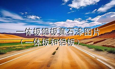一体板 铝板 真石漆图片（一体板和铝板）