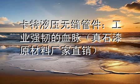 卡特液压无缝管件：工业强韧的血脉（真石漆原材料厂家直销）