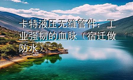 卡特液压无缝管件：工业强韧的血脉（宿迁做防水）