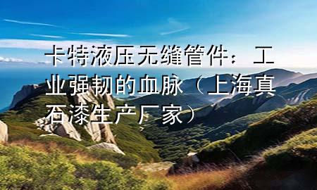 卡特液压无缝管件：工业强韧的血脉（上海真石漆生产厂家）