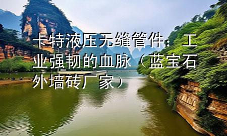 卡特液压无缝管件：工业强韧的血脉（蓝宝石外墙砖厂家）