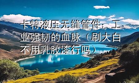 卡特液压无缝管件：工业强韧的血脉（刷大白不用乳胶漆行吗）