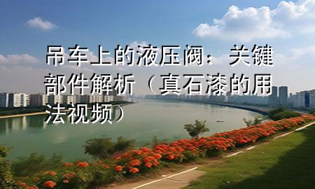 吊车上的液压阀：关键部件解析（真石漆的用法视频）