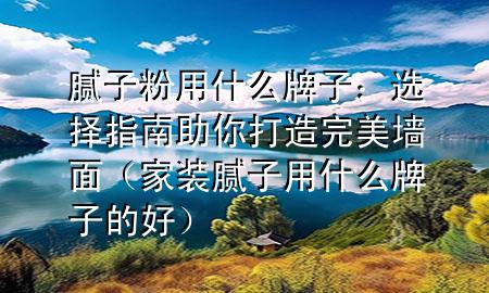腻子粉用什么牌子：选择指南助你打造完美墙面（家装腻子用什么牌子的好）
