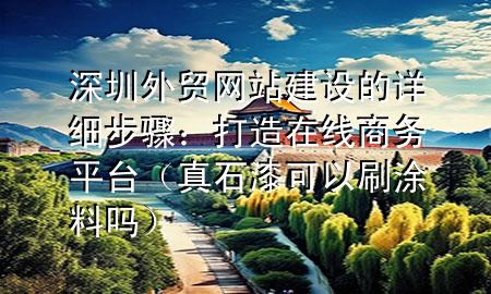 深圳外贸网站建设的详细步骤：打造在线商务平台（真石漆可以刷涂料吗）