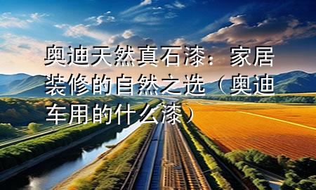 奥迪天然真石漆：家居装修的自然之选（奥迪车用的什么漆）