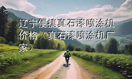 辽宁便捷真石漆喷涂机价格（真石漆喷涂机厂家）