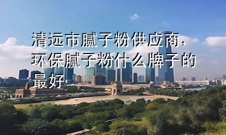 清远市腻子粉供应商，环保腻子粉什么牌子的最好