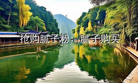 抢购腻子粉，腻子购买
