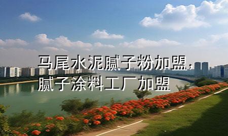 马尾水泥腻子粉加盟，腻子涂料工厂加盟