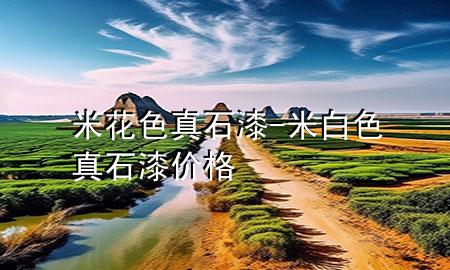 米花色真石漆-米白色真石漆价格