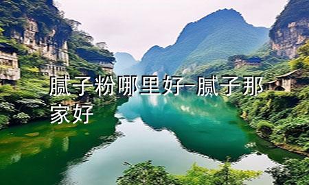 腻子粉哪里好-腻子那家好