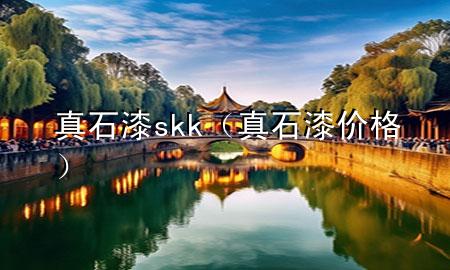 真石漆skk（真石漆价格）