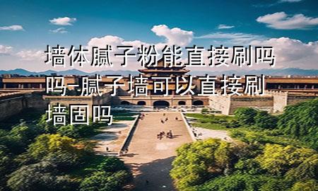 墙体腻子粉能直接刷吗吗-腻子墙可以直接刷墙固吗